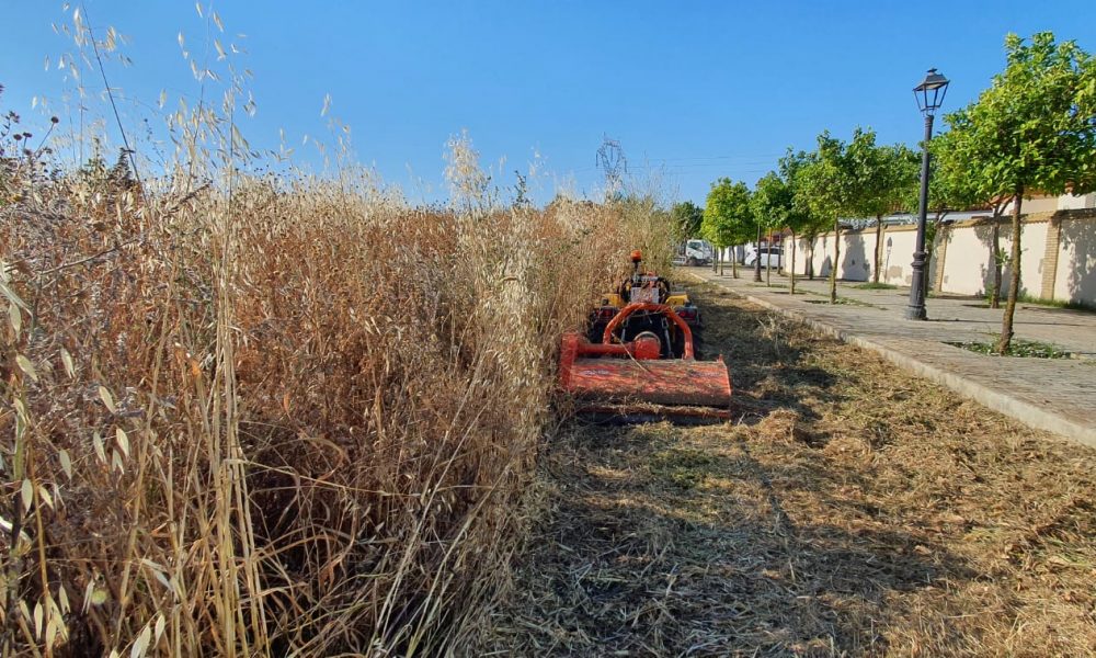 Desbroce de parcelas en Sevilla - Jardines y Paisajes