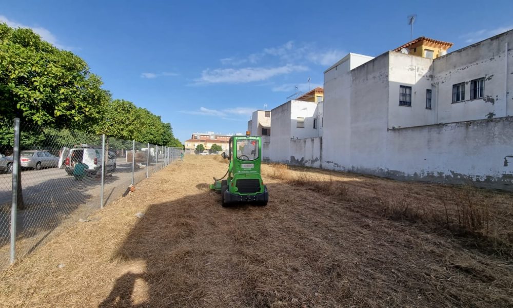 desbroce de solar en el Polígono El Pino de Sevilla | Jardines y Paisajes