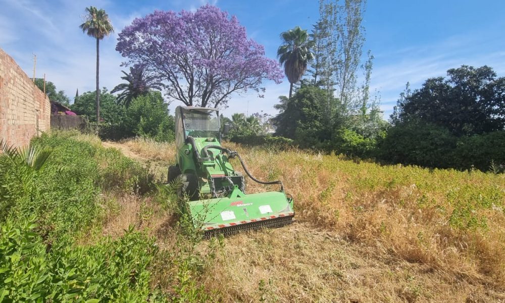 Desbroce de terrenos en Sevilla - Jardines y Paisajes